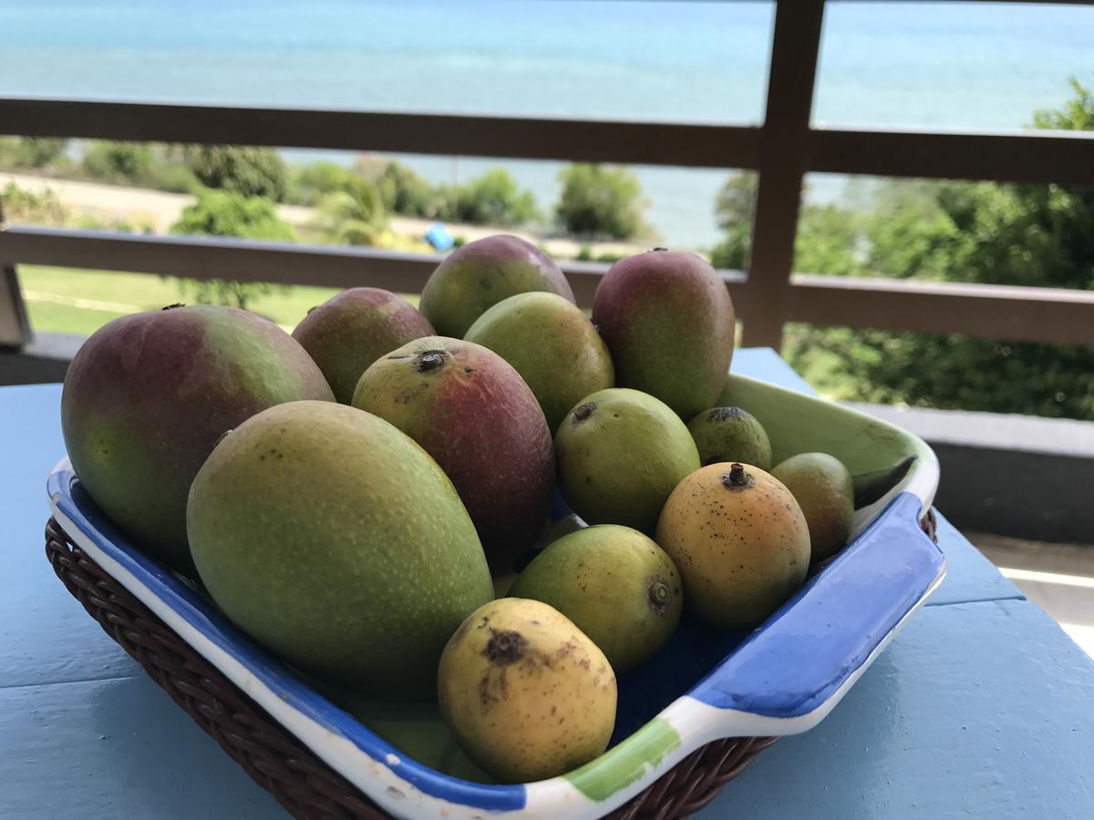 Bahia Maracaibo 马拉凯波景观宾馆酒店 外观 照片